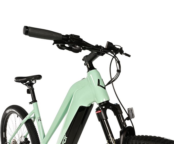 E-BIKE SWAN LADY 29", 20"-3, GREEN LIGHT (MODEST)