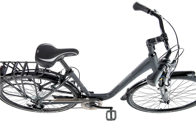 Leader Fox REGION 28", 2021-1 ŠEDÁ MAT