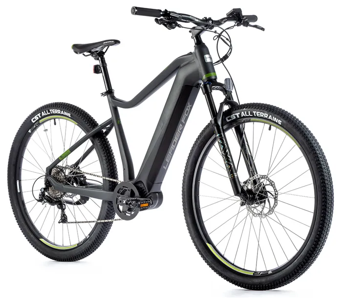 E-BIKE SWAN GENT 29", 17,5"-1, GREY (MODEST)