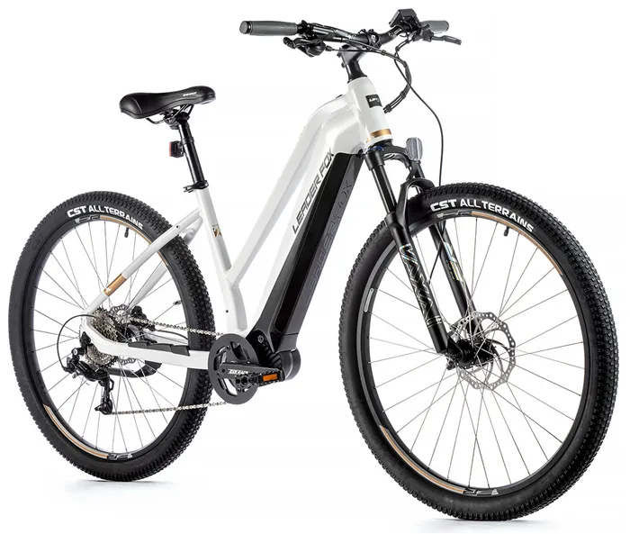 E-BIKE SWAN LADY 29", 20"-1, WHITE SHINY (MODEST)