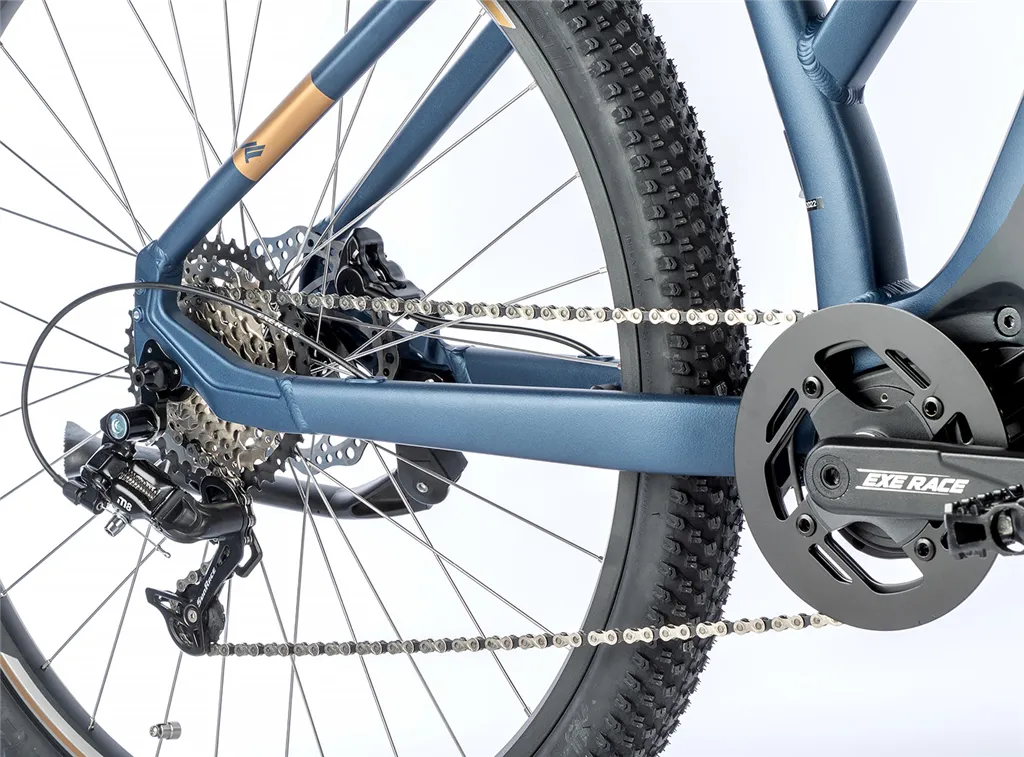 E-BIKE SWAN LADY 29", 20"-2, DARK BLUE MATT (MODEST) KOLA NA PRODEJ