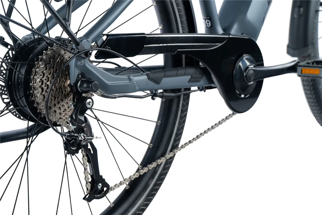 E-BIKE 28" SANDY GENT 17,5"-3, GREY MATT  (REAR MOTOR) KOLA NA PRODEJ