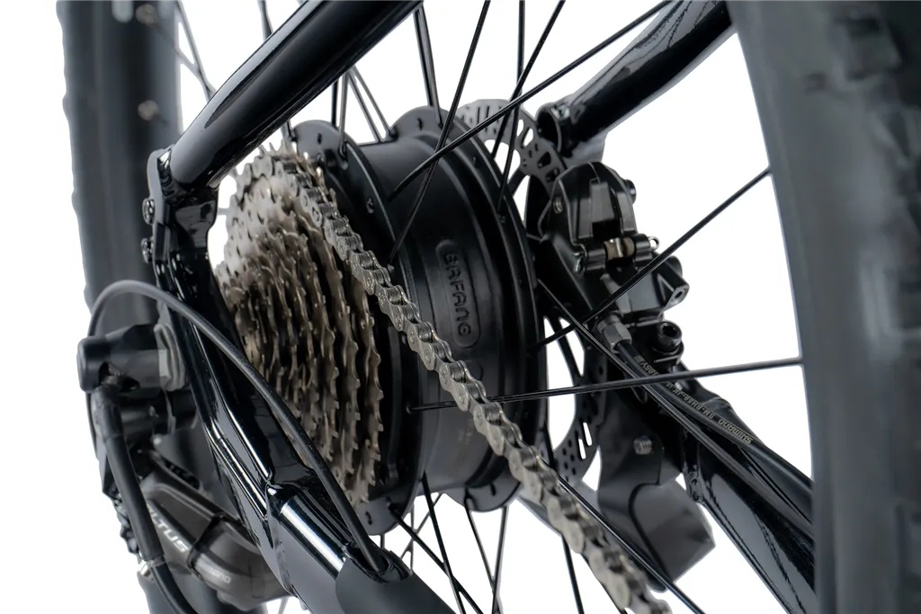 E-BIKE 29" ARIMO  GENT 17,5"-1  BLACK SHINY (REAR MOTOR) KOLA NA PRODEJ