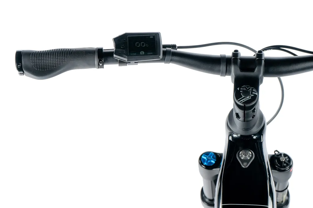 E-BIKE 29" ARIMO  GENT 19"-1  BLACK SHINY (REAR MOTOR) KOLA NA PRODEJ