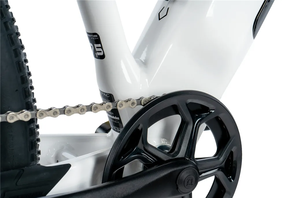 E-BIKE 29" ARIMO  LADY 16,5"-1  WHITE SHINY (REAR MOTOR) KOLA NA PRODEJ