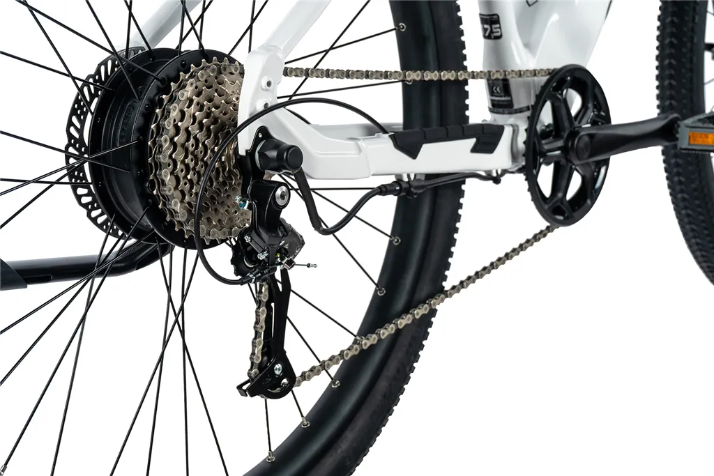 E-BIKE 29" ARIMO  LADY 17,5"-1 WHITE SHINY (REAR MOTOR) KOLA NA PRODEJ