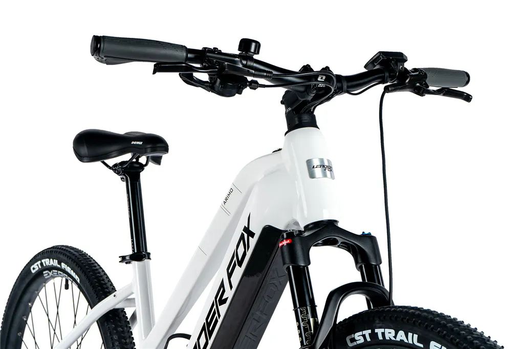 E-BIKE 29" ARIMO  LADY 19,5"-1 WHITE SHINY (REAR MOTOR) KOLA NA PRODEJ