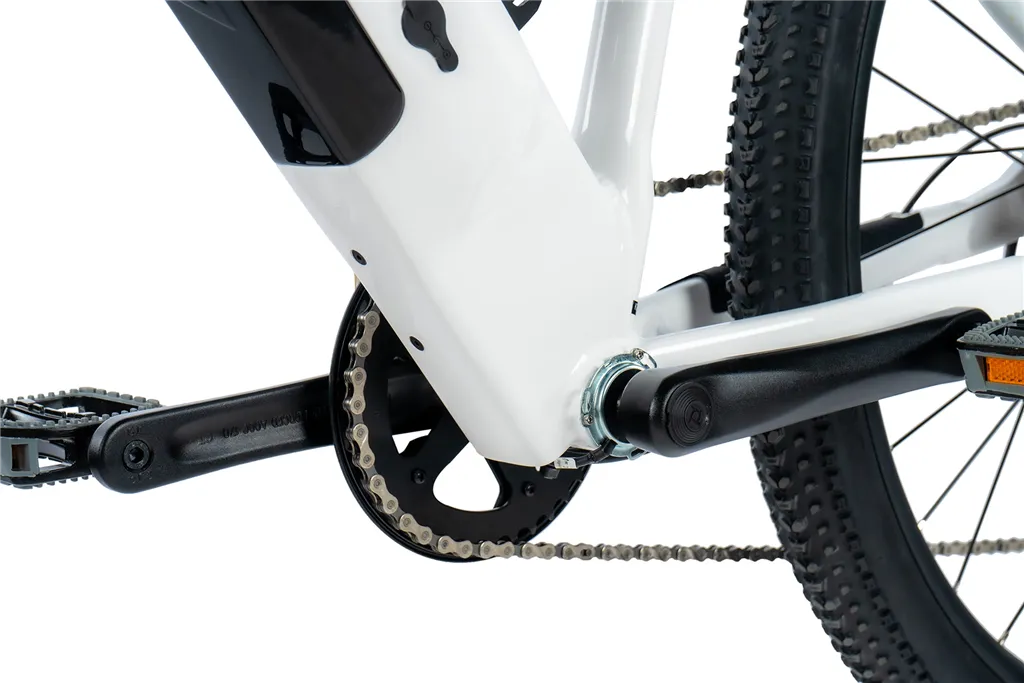 E-BIKE 29" ARIMO  LADY 19,5"-1 WHITE SHINY (REAR MOTOR) KOLA NA PRODEJ
