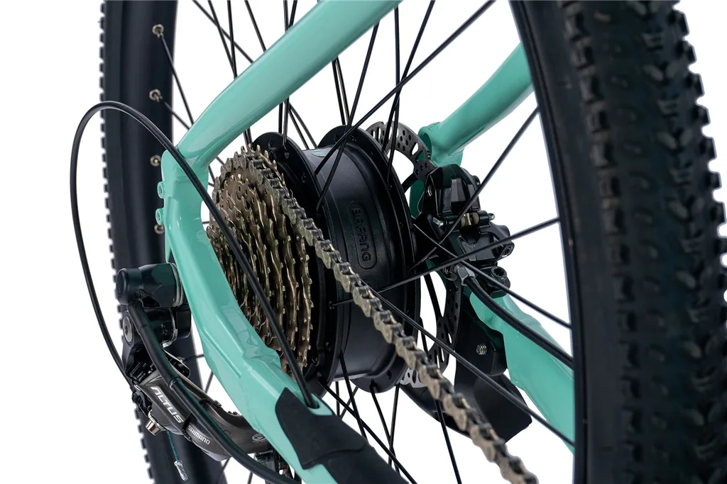 E-BIKE 29" ARIMO  LADY 17,5"-3 GREEN LIGHT (REAR MOTOR) KOLA NA PRODEJ