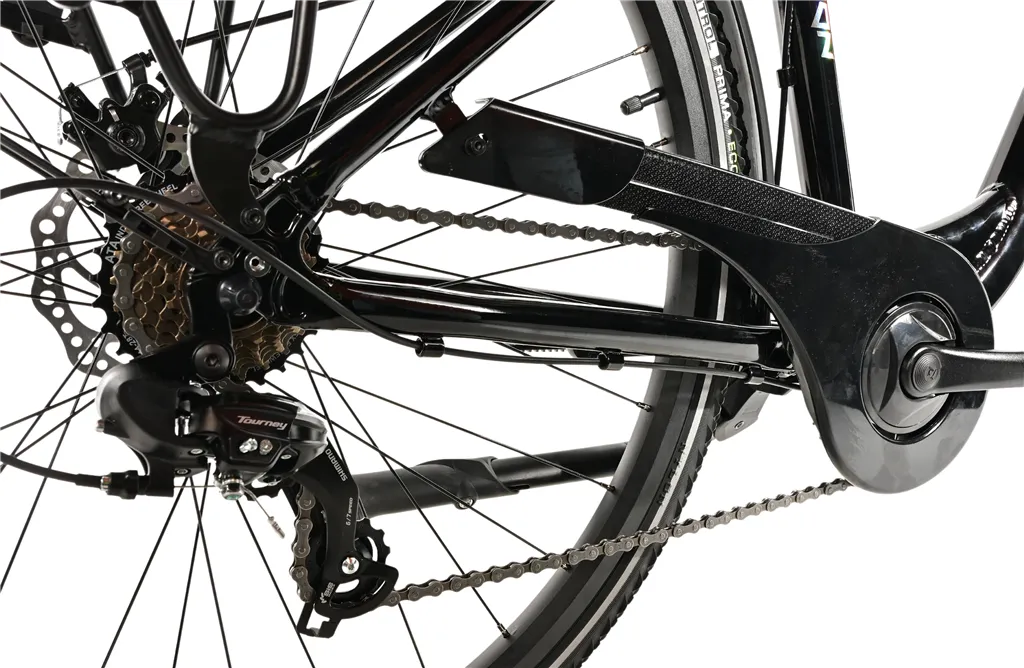 REGION LADY 19", BLACK SHINY KOLA NA PRODEJ