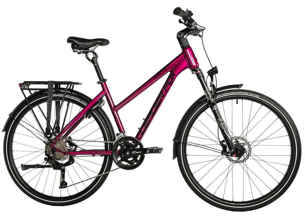 ESPIRIT  LADY-2 VIOLET SHINY 20" KOLA NA PRODEJ