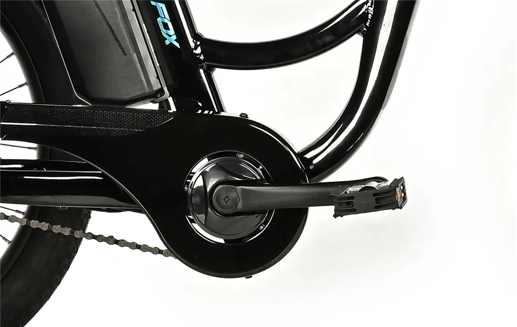 CARGO - TRICYCLE CURTIS, FRONT MOTOR, BLACK SHINY KOLA NA PRODEJ