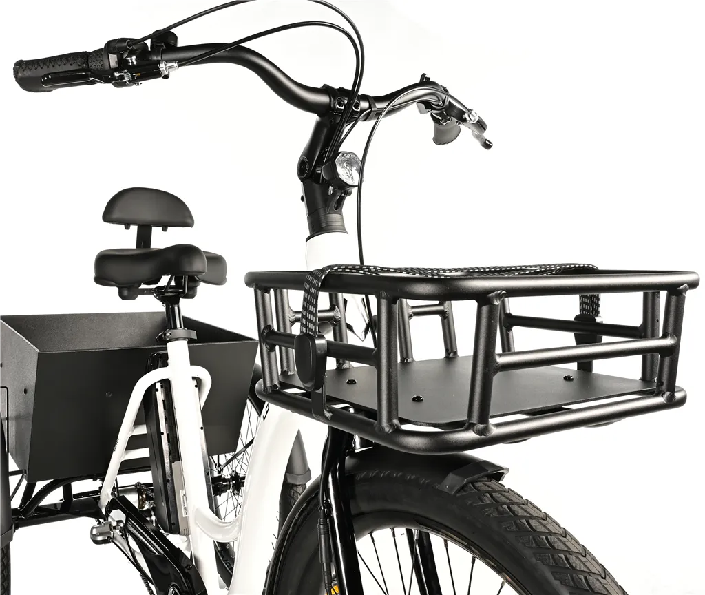 CARGO - TRICYCLE LOVELO, FRONT MOTOR, WHITE SHINY KOLA NA PRODEJ