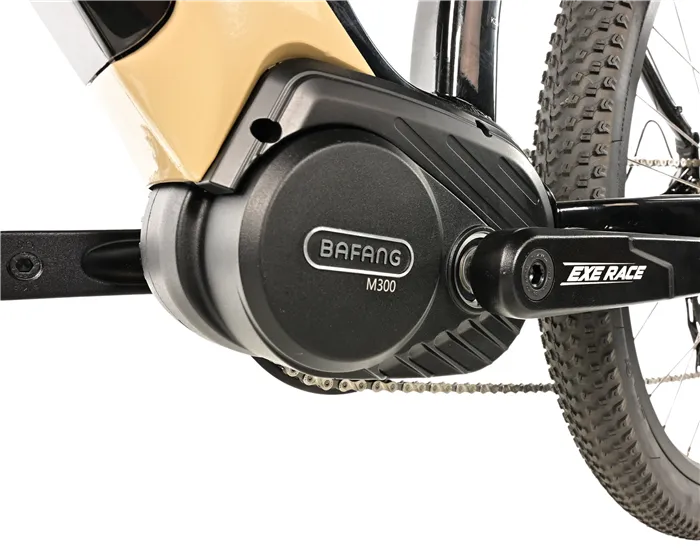 E-BIKE SWAN GENT 27,5", 19,5"-1, BLACK SHINY - beige sticker (MODEST)