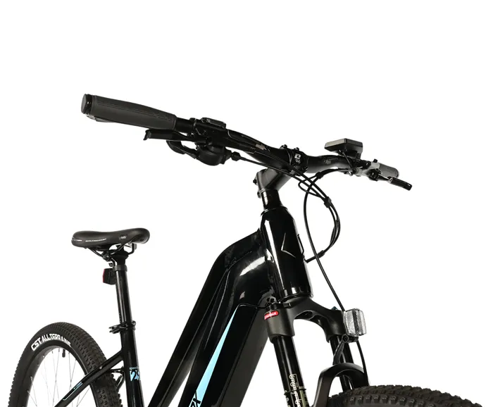 E-BIKE SWAN LADY 29", 20"-1, BLACK SHINY  - blue sticker (MODEST)