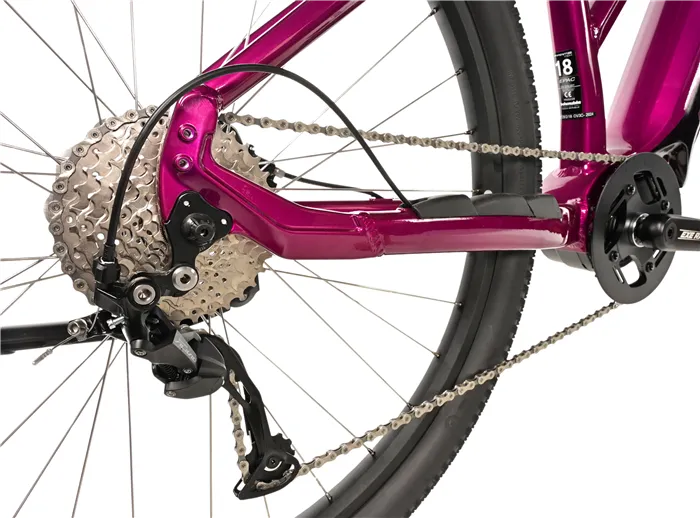 E-BIKE SWAN LADY 29", 18"-2, VIOLET SHINY (MODEST)