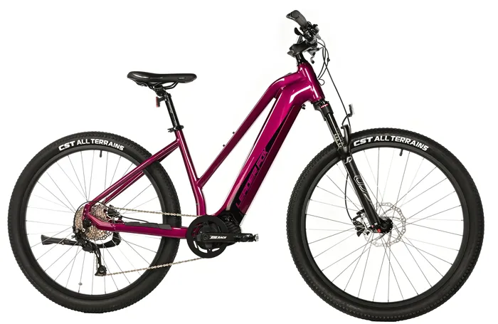 E-BIKE SWAN LADY 29", 20"-2, VIOLET SHINY (MODEST)