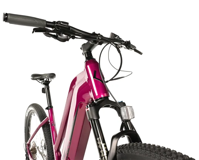 E-BIKE SWAN LADY 29", 20"-2, VIOLET SHINY (MODEST)