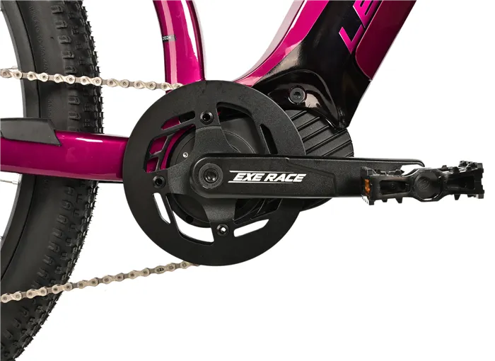E-BIKE SWAN LADY 29", 20"-2, VIOLET SHINY (MODEST)