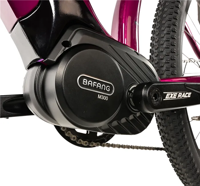 E-BIKE SWAN LADY 29", 20"-2, VIOLET SHINY (MODEST)