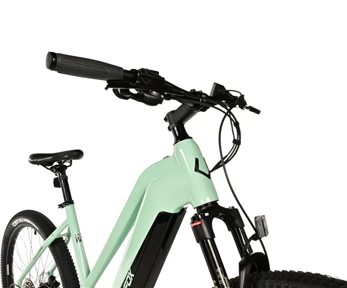 E-BIKE SWAN LADY 29", 18"-3, GREEN LIGHT (MODEST)