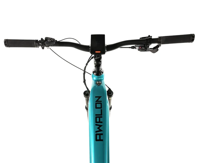 E-BIKE AWALON GENT 29", 21,5"-3, BLUE LIGHT (M420)