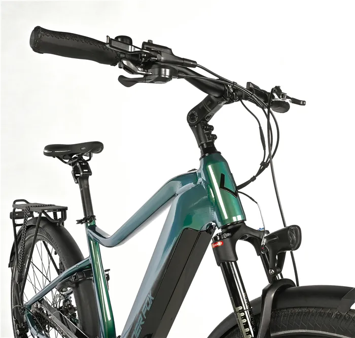 E-BIKE 28" LUCAS GENT 22,5"-1, GREEN BOTTLE (M420)