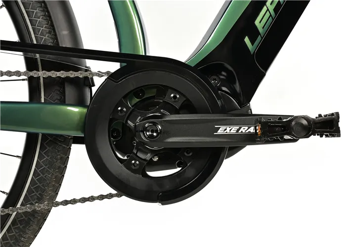 E-BIKE 28" LUCAS GENT 22,5"-1, GREEN BOTTLE (M420)