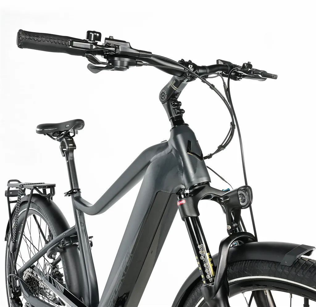 E-BIKE 28" LUCAS GENT 17,5"-2, GREY MATT (M420) KOLA NA PRODEJ