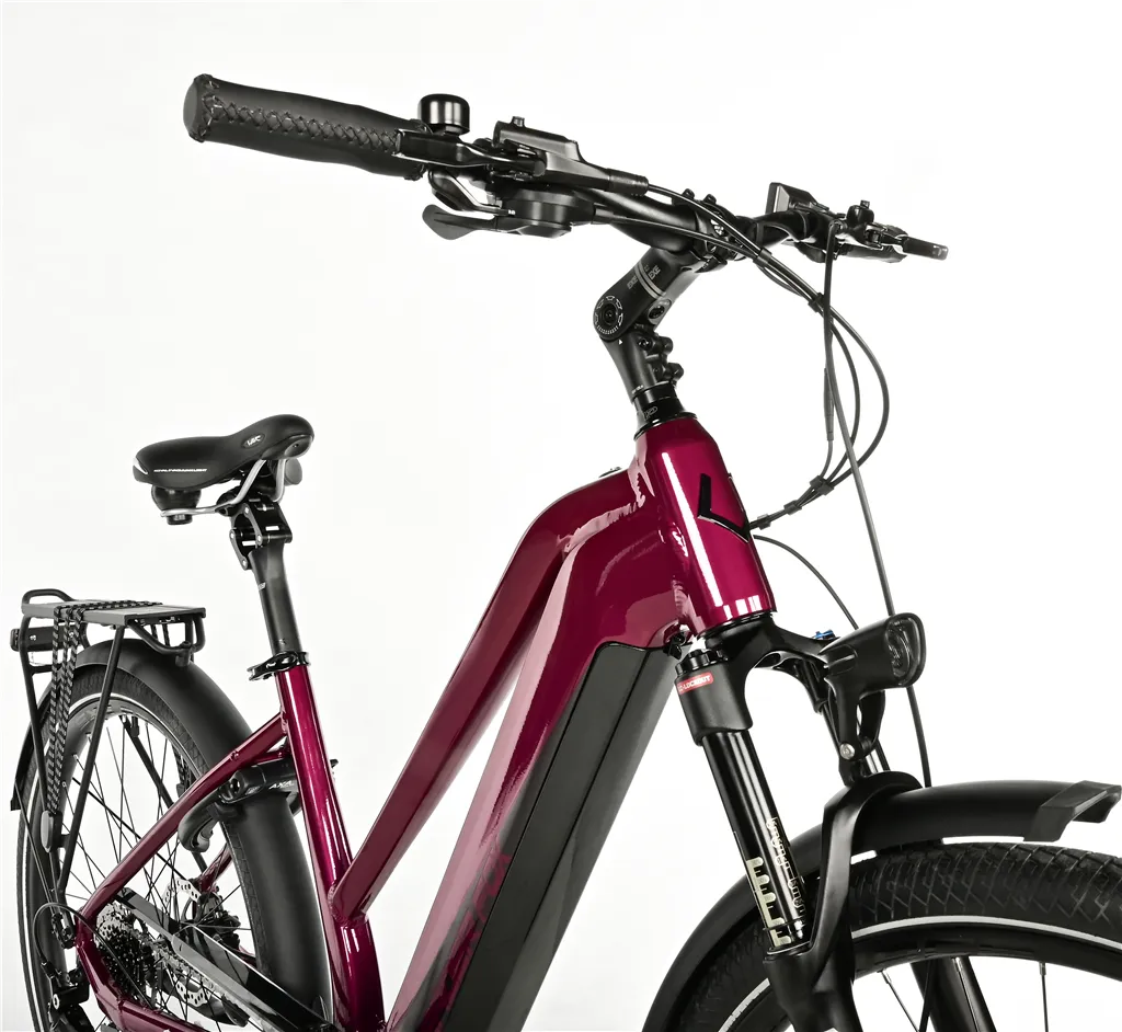 E-BIKE 28" LUCAS LADY 20"-2, VIOLET SHINY (M420) KOLA NA PRODEJ