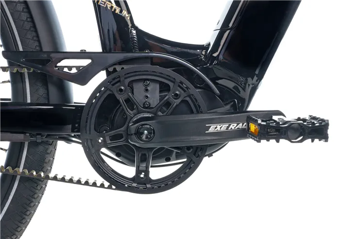 E-BIKE 28" TERTIUM CITY 16,5"-1, BLACK SHINY (M420/NEXUS 8, BELT)