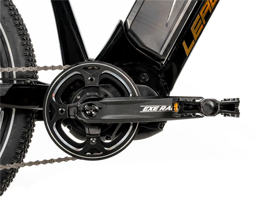 E-BIKE MTB 24" WEENY, BLACK SHINY-2 (M420)