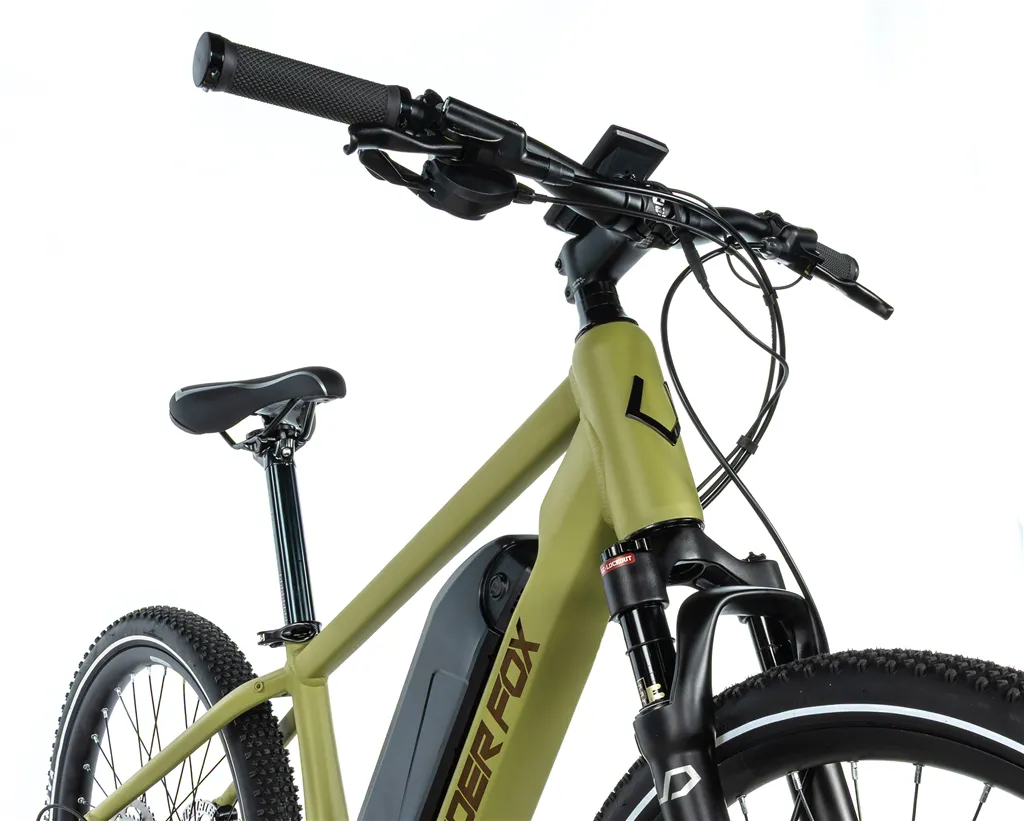 E-BIKE MTB 24" WEENY, ARMY GREEN-3 (M420)