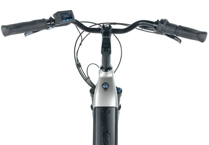 E-BIKE 28" INDUKTORA 18"-3, SILVER (rear motor)