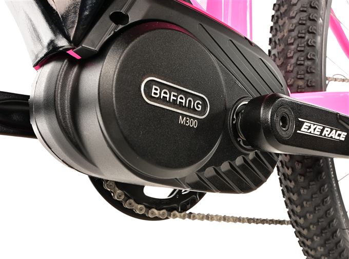 E-BIKE SWAN GENT 29", 19,5"-2, PINK SHINY (MODEST)