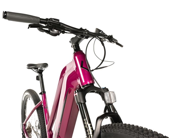 E-BIKE SWAN LADY 29", 18"-2, VIOLET SHINY (MODEST)