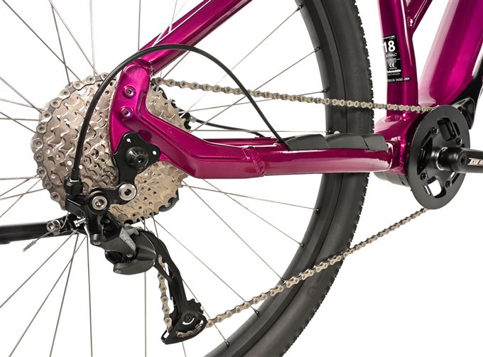 E-BIKE SWAN LADY 29", 18"-2, VIOLET SHINY (MODEST)