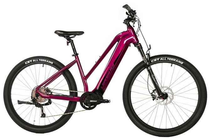 E-BIKE SWAN LADY 29", 20"-2, VIOLET SHINY (MODEST)