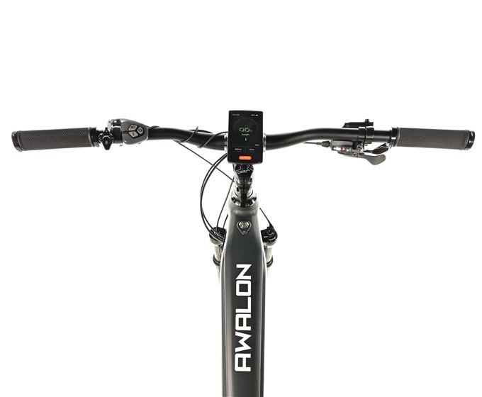 E-BIKE AWALON GENT 29", 21,5"-1, GREY MATT (M420)