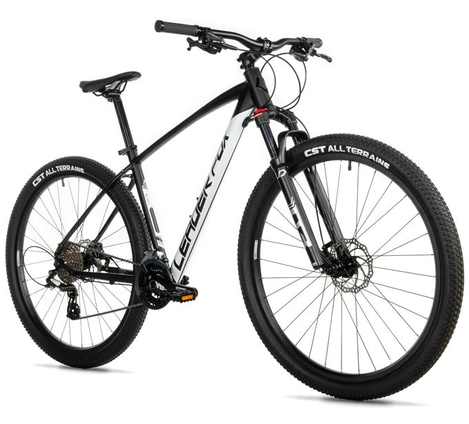 EVOLUTION 29, 22"-2, BLACK MATT