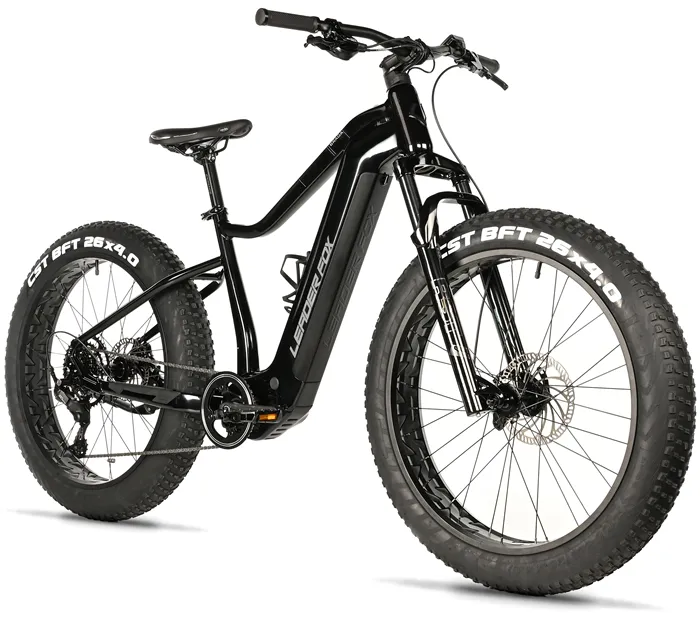 E-BIKE 26" BRAGA,FAT BIKE,20"-2, BLACK SHINY (M510)