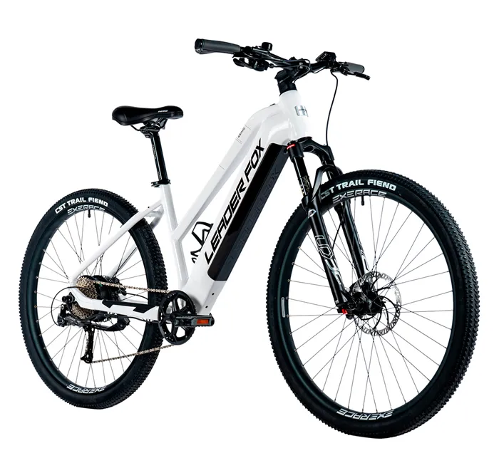 E-BIKE 29" ARIMO LADY 19,5"-1 WHITE SHINY (REAR MOTOR)