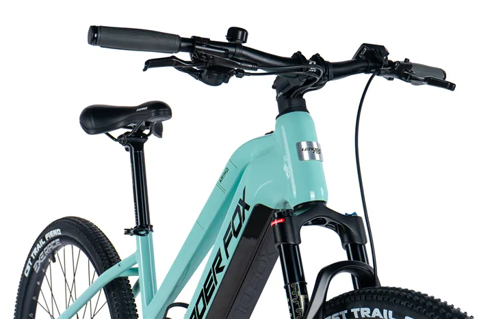 E-BIKE 29" ARIMO LADY 16,5"-3, GREEN LIGHT (REAR MOTOR)
