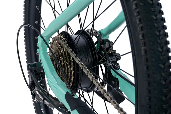 E-BIKE 29" ARIMO LADY 16,5"-3, GREEN LIGHT (REAR MOTOR)