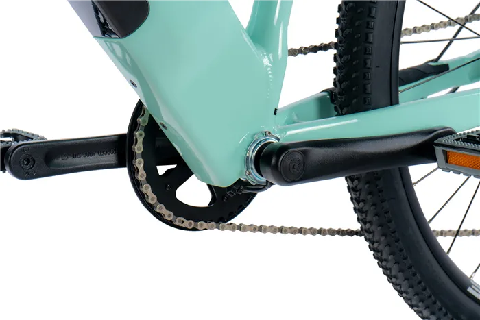 E-BIKE 29" ARIMO LADY 16,5"-3, GREEN LIGHT (REAR MOTOR)