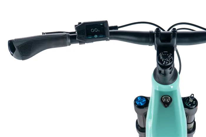 E-BIKE 29" ARIMO LADY 16,5"-3, GREEN LIGHT (REAR MOTOR)
