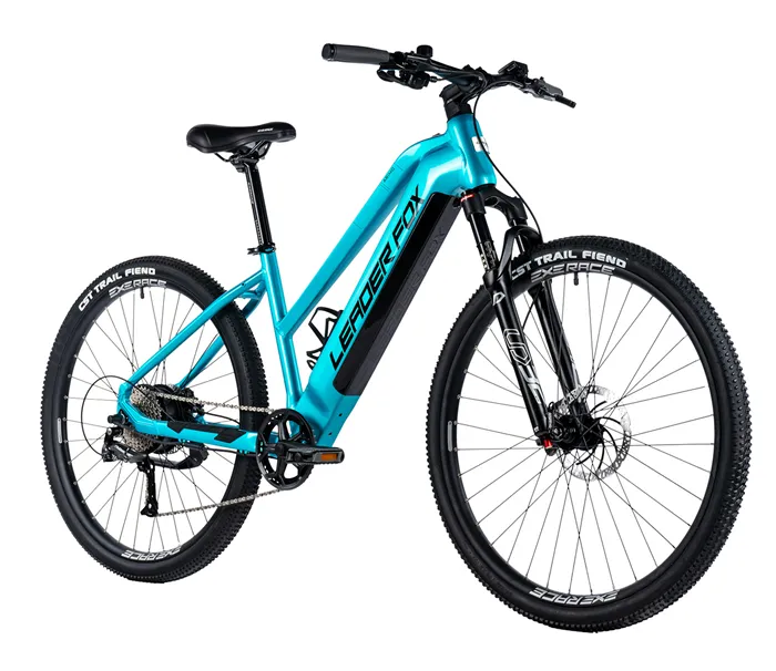 E-BIKE 29" ARIMO LADY 16,5"-2, BLUE LIGHT (REAR MOTOR)