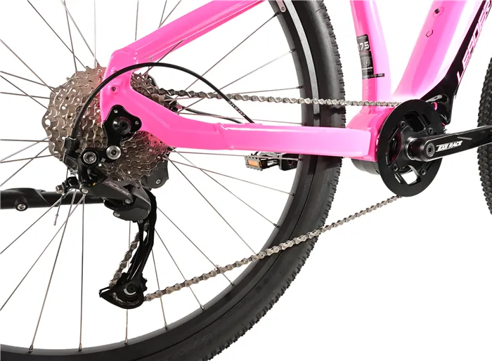 E-BIKE SWAN GENT 29", 17,5"-2, PINK SHINY (MODEST)