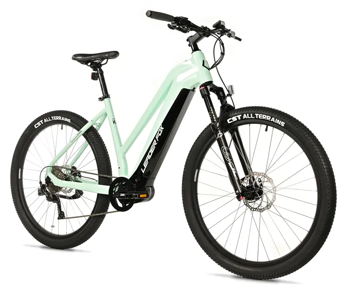 E-BIKE SWAN LADY 29", 20"-3, GREEN LIGHT (MODEST)