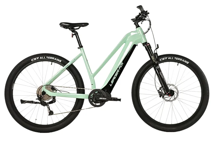 E-BIKE SWAN LADY 29", 20"-3, GREEN LIGHT (MODEST)